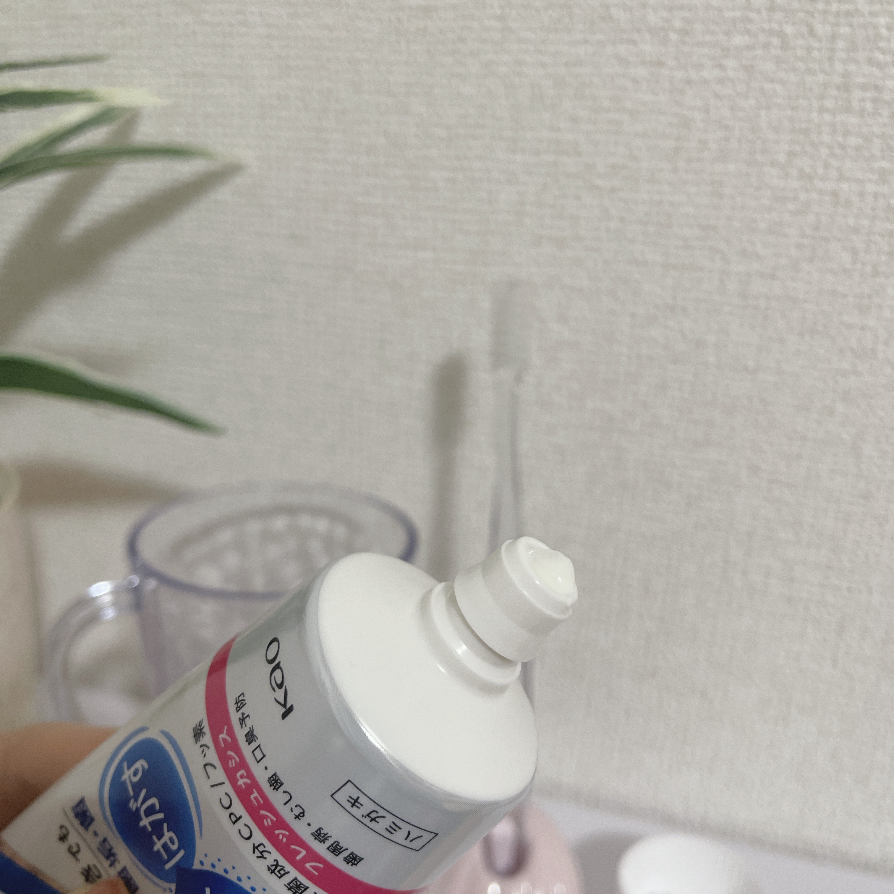 薬用ピュオーラ ハミガキ/ピュオーラ/歯磨き粉を使ったクチコミ（2枚目）