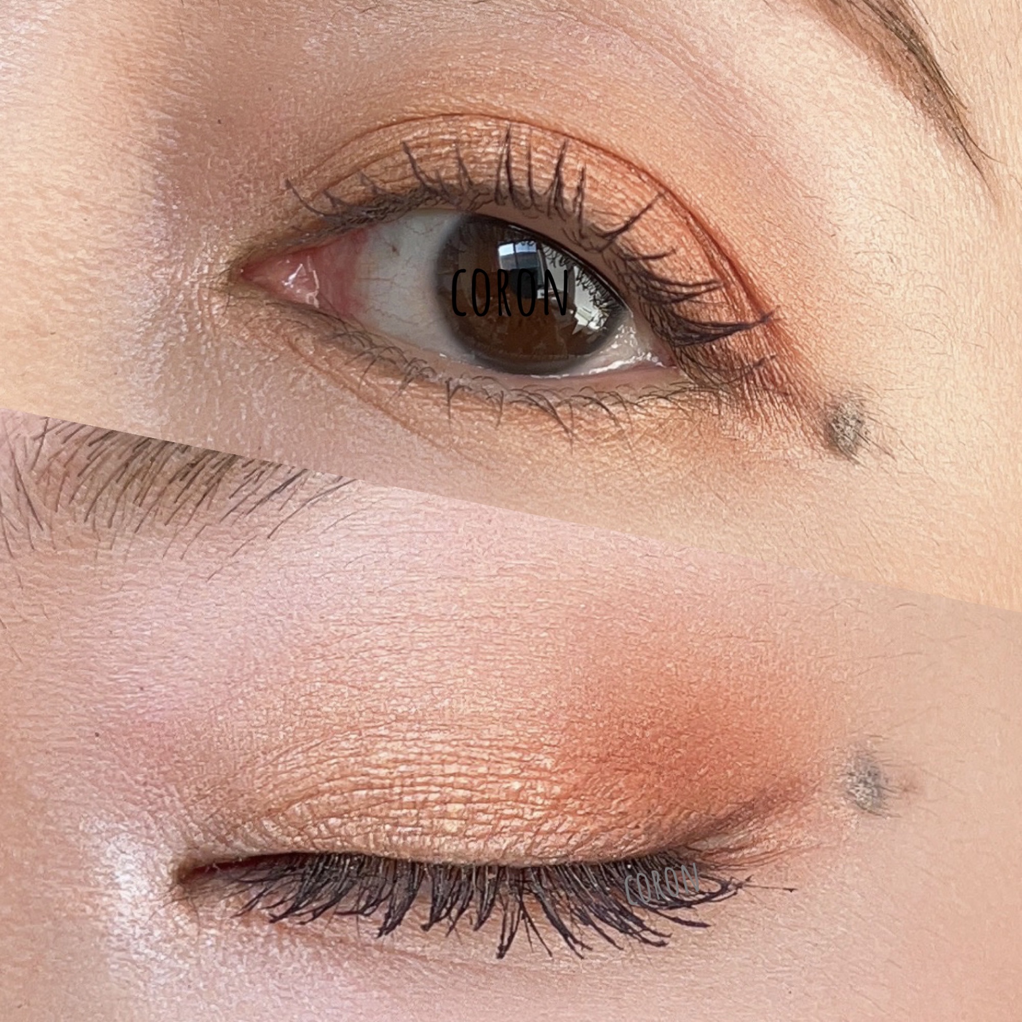 エクストラボリューム カラーマスカラ/Amplitude/マスカラを使ったクチコミ（2枚目）