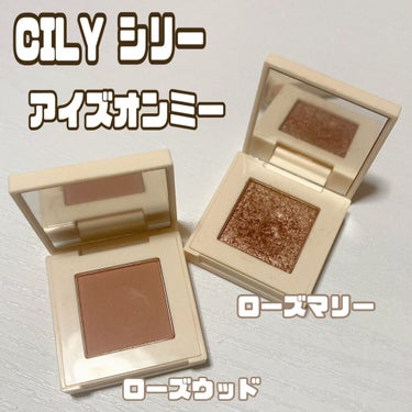 アイズオンミー/CILY/パウダーアイシャドウを使ったクチコミ（1枚目）