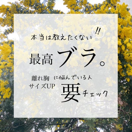 スマートブラ/PEACH JOHN/ナイトブラを使ったクチコミ(1枚目)