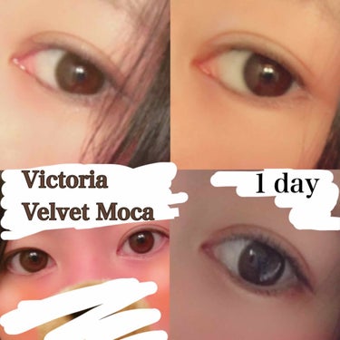 Victoria(ヴィクトリア）1day Velvet Moca/Victoria/ワンデー（１DAY）カラコンを使ったクチコミ（2枚目）