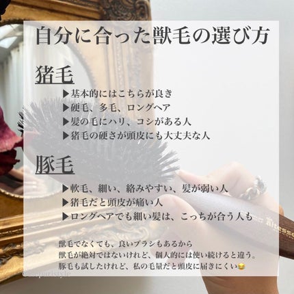 Brosse à cheveux pneumatique, 100% sanglier - Grand modèle/Altesse/ヘアブラシを使ったクチコミ(4枚目)