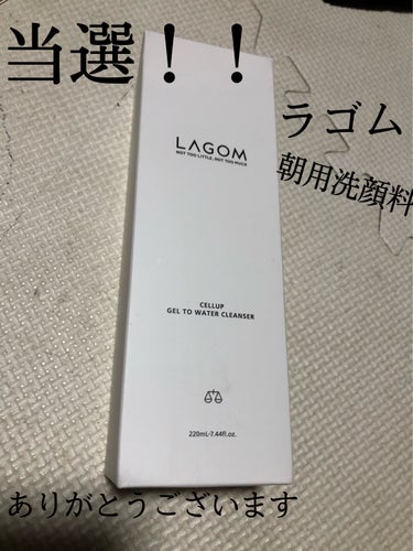 ラゴム ジェルトゥウォーター クレンザー(朝用洗顔)/LAGOM /洗顔フォームを使ったクチコミ（1枚目）