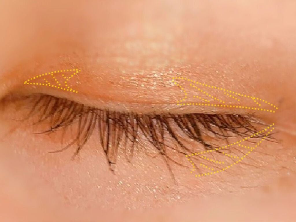 UR GLAM BLOOMING EYE COLOR PALETTE/U R GLAM/アイシャドウパレットを使ったクチコミ(5枚目)