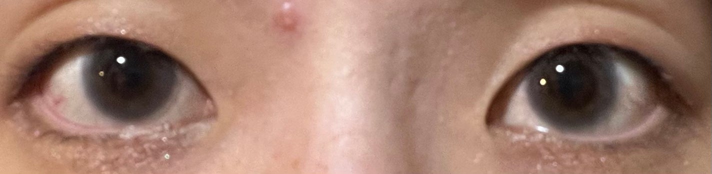 HARNE 1day/HARNE/ワンデー(1DAY)カラコンを使ったクチコミ(3枚目)