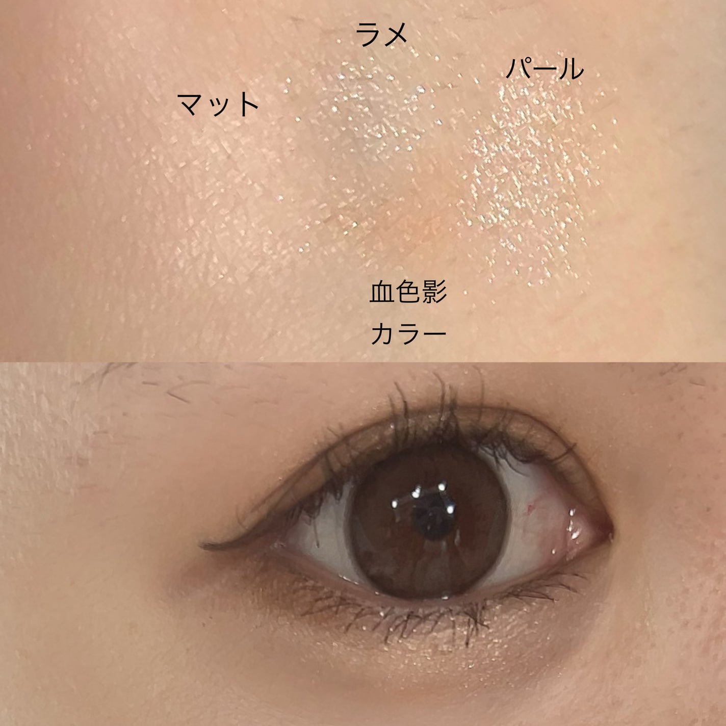 プランぷくコーデアイズ/キャンメイク/パウダーアイシャドウを使ったクチコミ(3枚目)