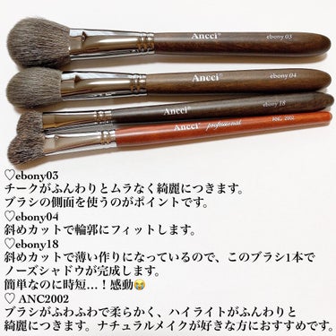 Ebony 10/Ancci brush/メイクブラシを使ったクチコミ（3枚目）