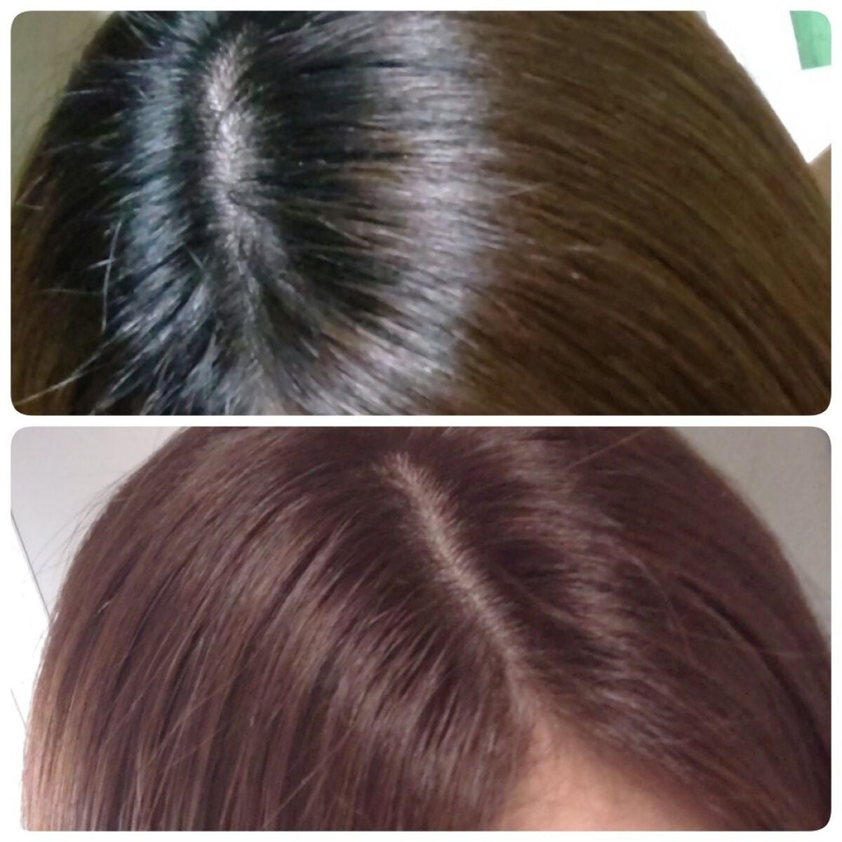 オイルインシャンプー/オイルインコンディショナー(リッチ&リペア)/ディアボーテ/市販シャンプーを使ったクチコミ(1枚目)