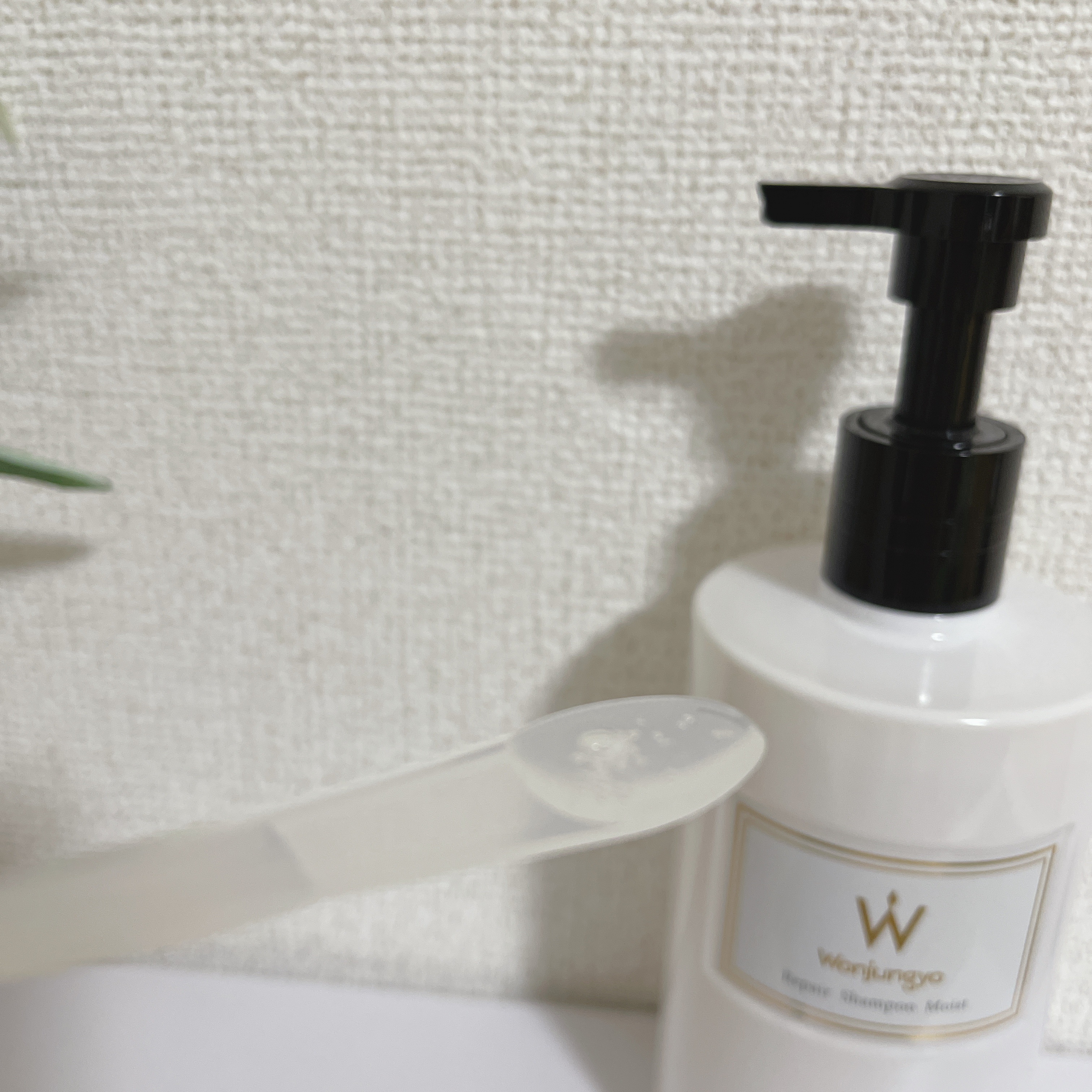 ウォンジョンヨ リペアシャンプー モイスト／リペアトリートメント モイスト/Wonjungyo/市販シャンプーを使ったクチコミ（2枚目）