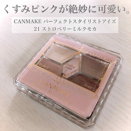 【旧品】パーフェクトスタイリストアイズ/キャンメイク/アイシャドウパレットを使ったクチコミ(1枚目)