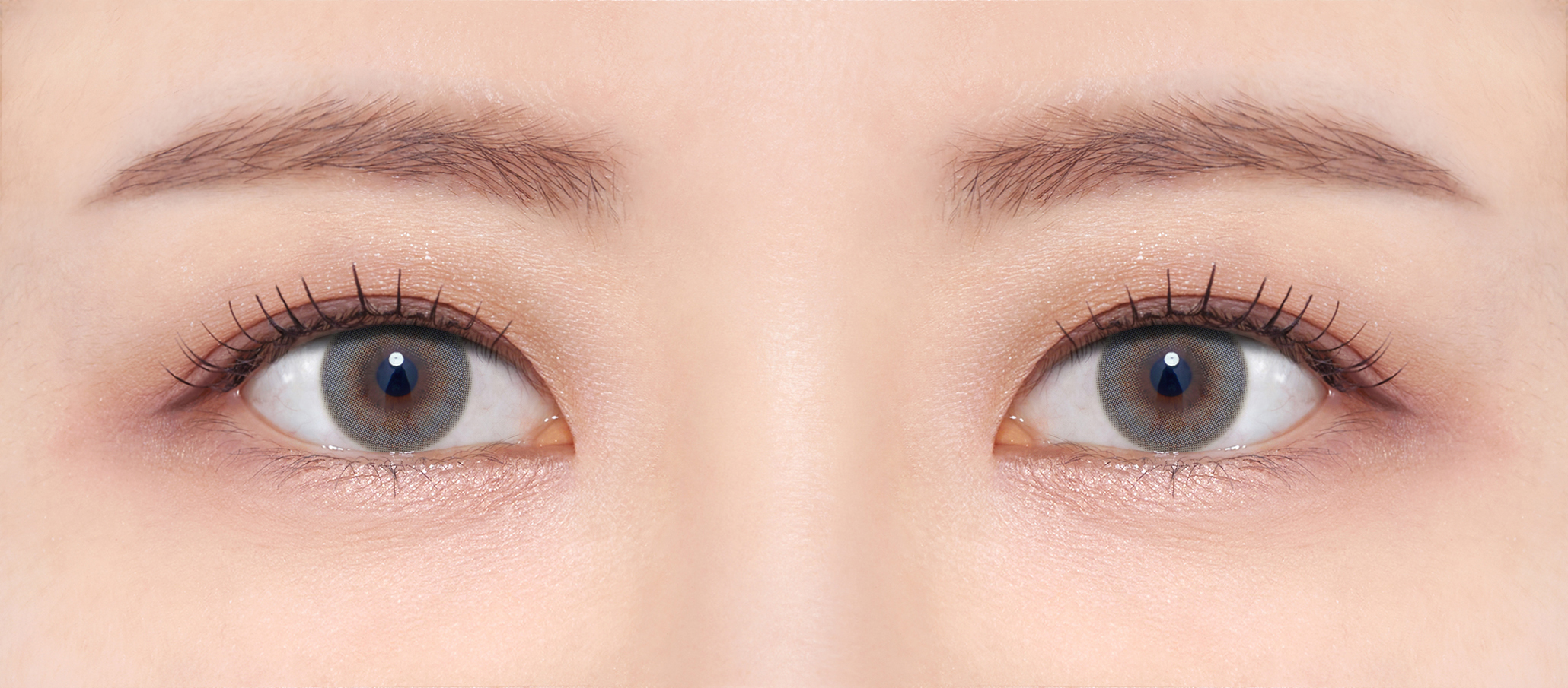 FrenchShine1day gray