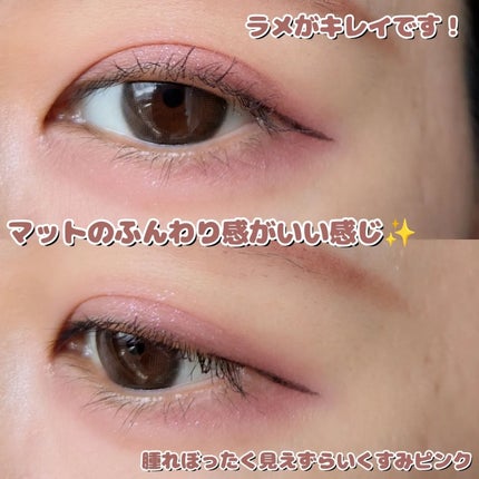 プティパレットアイズ(マットタイプ)/キャンメイク/パウダーアイシャドウを使ったクチコミ(4枚目)