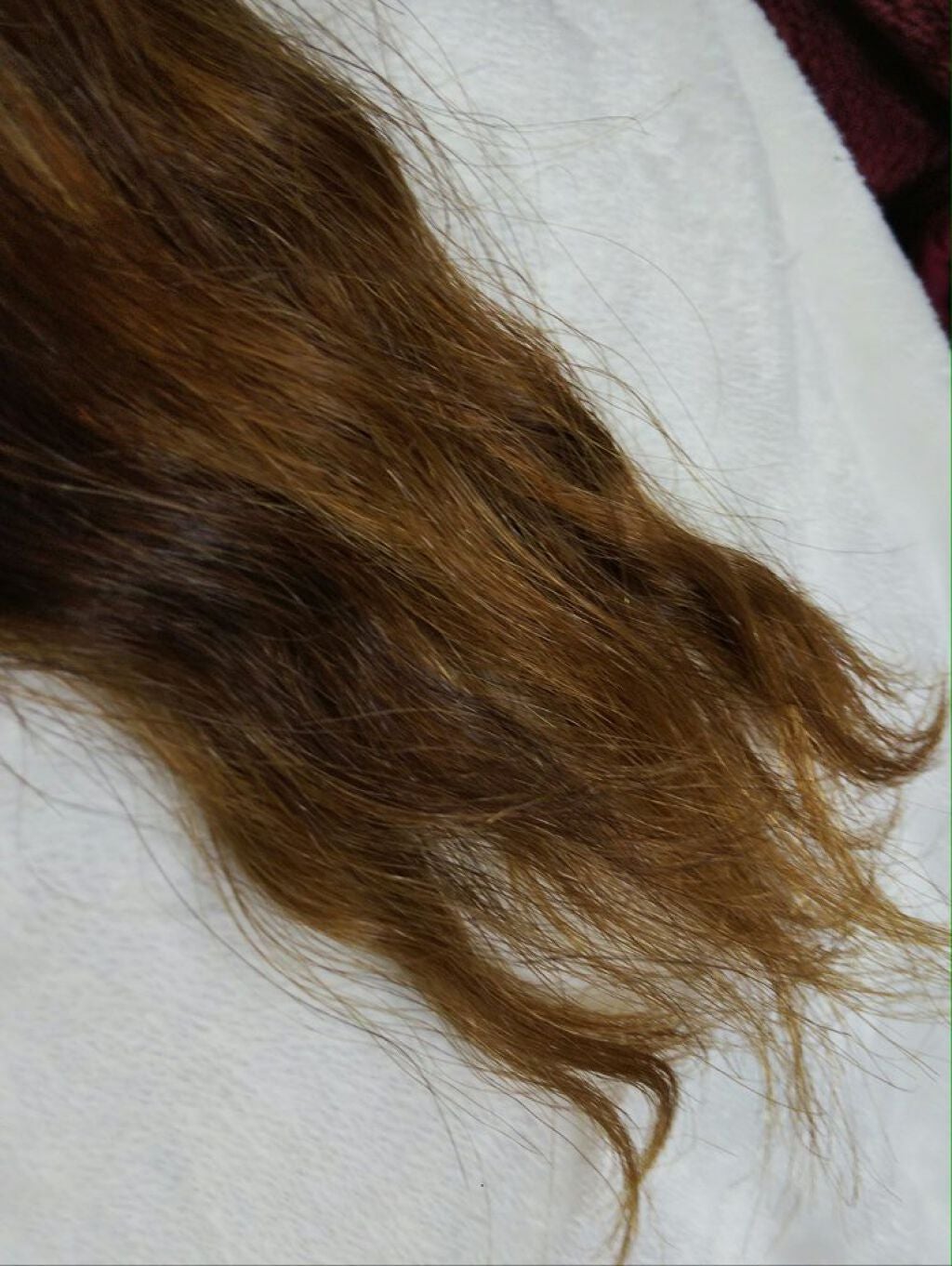 さらとろライスオイル(洗い流さないトリートメント)/WANOMI/ヘアオイルを使ったクチコミ(4枚目)