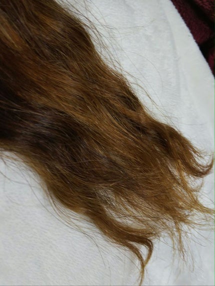 さらとろライスオイル(洗い流さないトリートメント)/WANOMI/ヘアオイルを使ったクチコミ(4枚目)