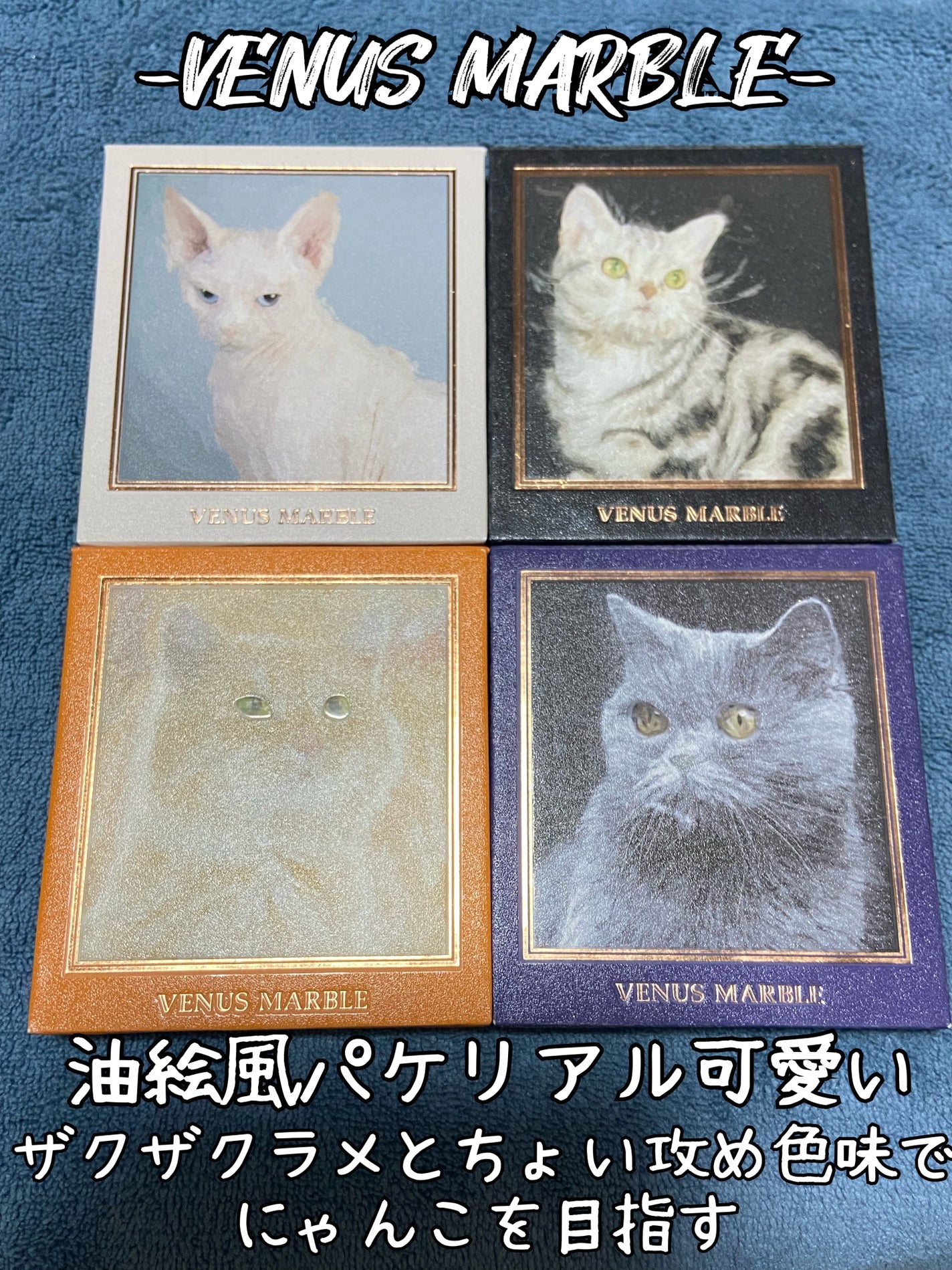 Venus Marble アイシャドウキャットシリーズ/Venus Marble/アイシャドウパレットを使ったクチコミ(2枚目)