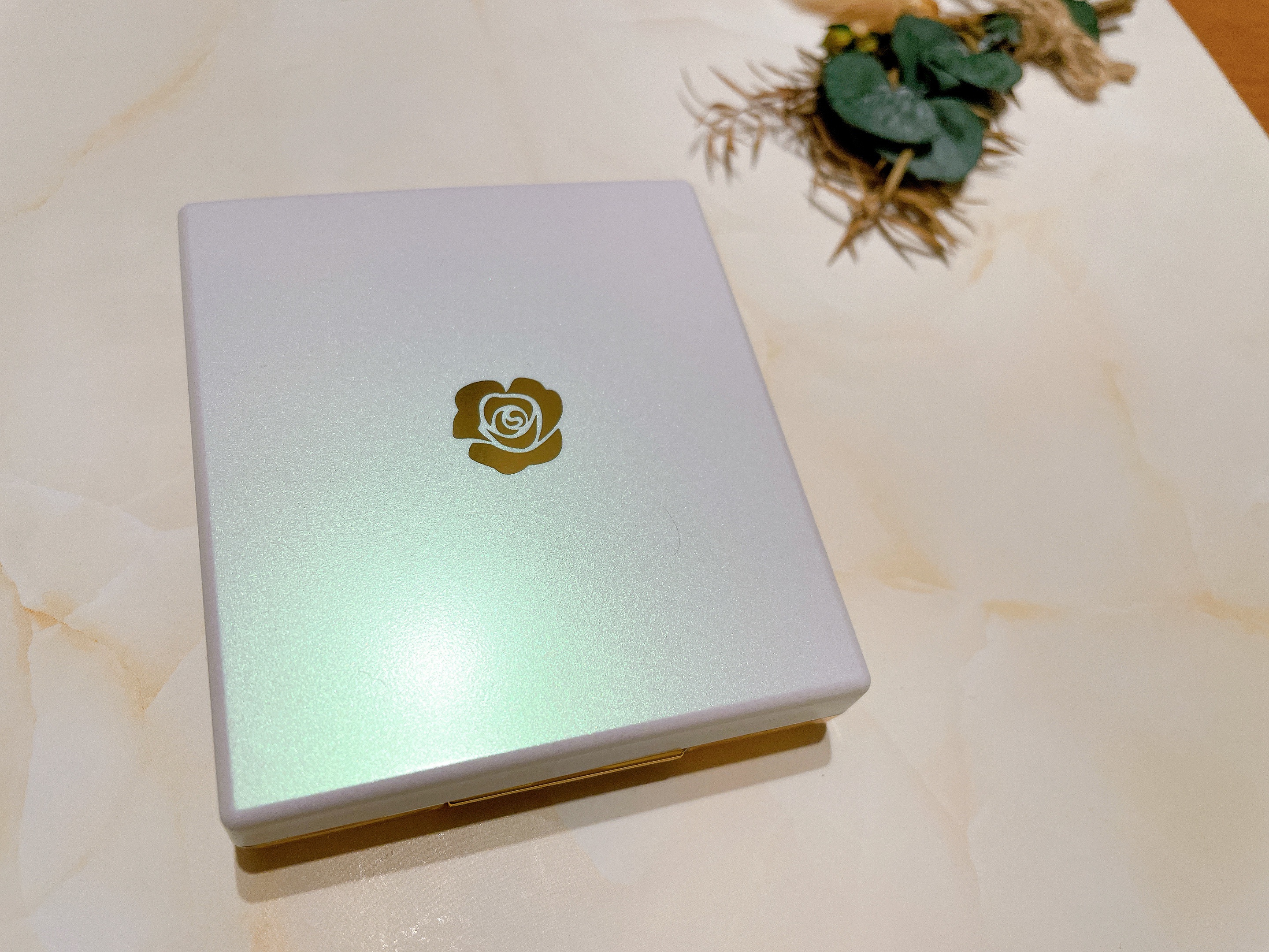 ステファニー サンブロック ルーセントパウダー Ⅲ/ステファニー/プレストパウダーを使ったクチコミ（1枚目）