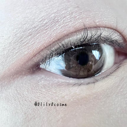 (ルシャブートコレクション)チーク&アイ マルチユーズ パレット/Dinto/パウダーチークを使ったクチコミ(4枚目)