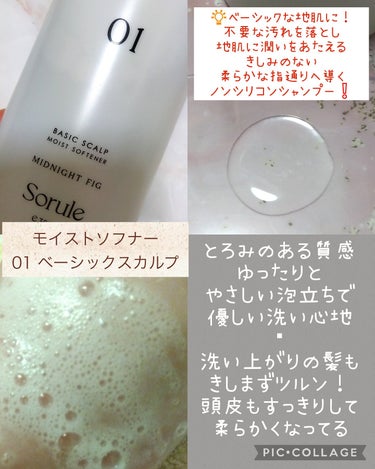 モイストソフナー 01ベーシックスカルプ 350ml/Sorule/シャンプー・コンディショナーを使ったクチコミ（2枚目）