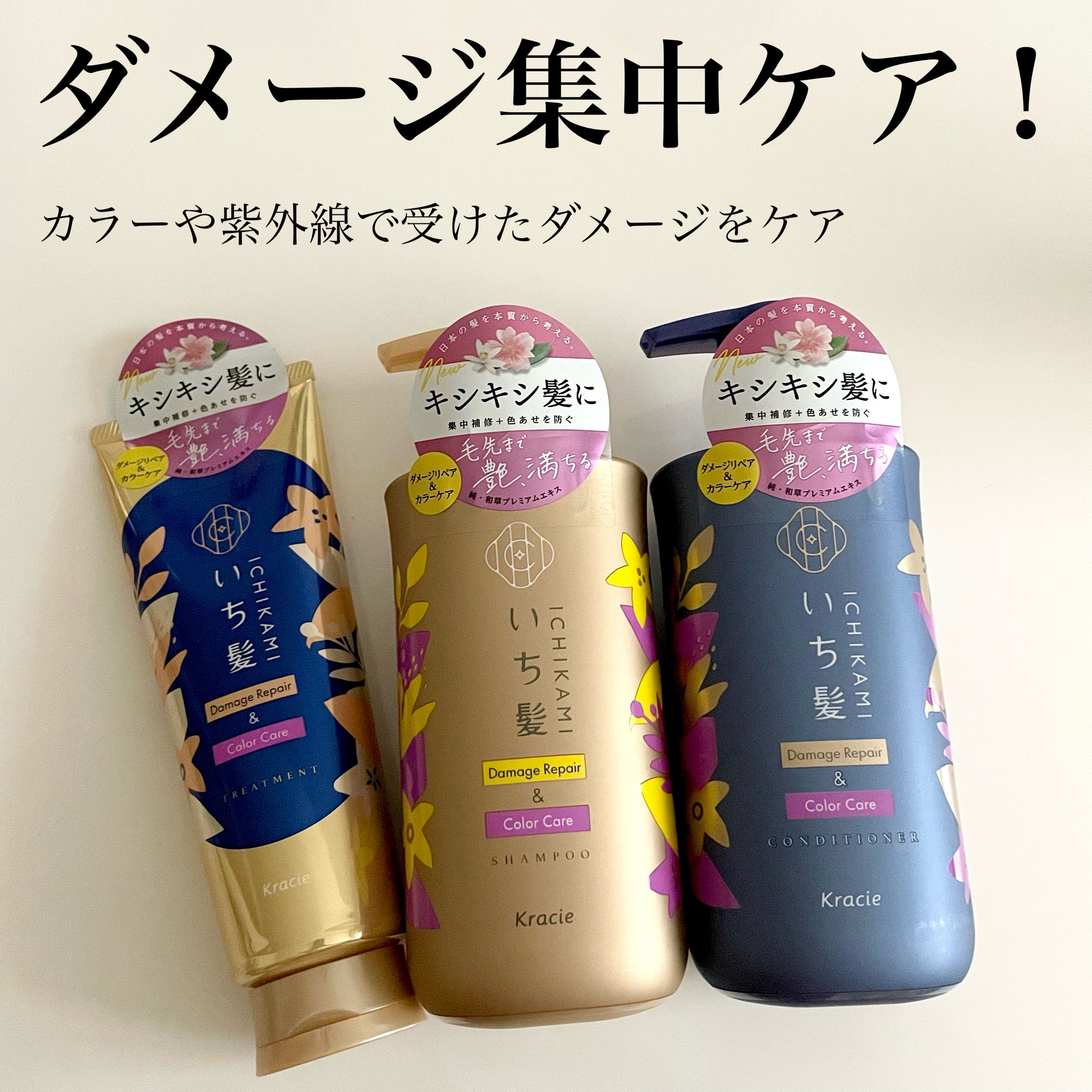 いち髪からダメージリペア＆カラーケアライン誕生
ヘアカラーなどのダメージによるキシキシ髪で
お悩みの方へ✨

シャンプー中は爽やか、ドライするとさくらの
香りがメインに🌸香りの変化も楽しめる新感覚！

紫外線やカラーダメージで悩んでいる私