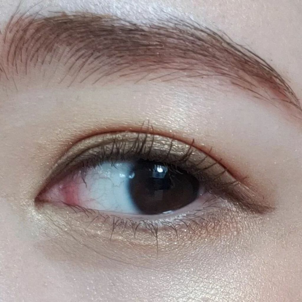 アイカラーレーション EX21 Serval Cat（限定発売）/LUNASOL/アイシャドウパレットを使ったクチコミ（3枚目）