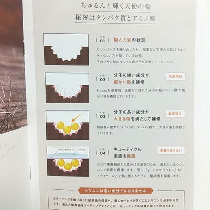 温感ヘッドスパトリートメント/TRICORE/頭皮トリートメントを使ったクチコミ(2枚目)