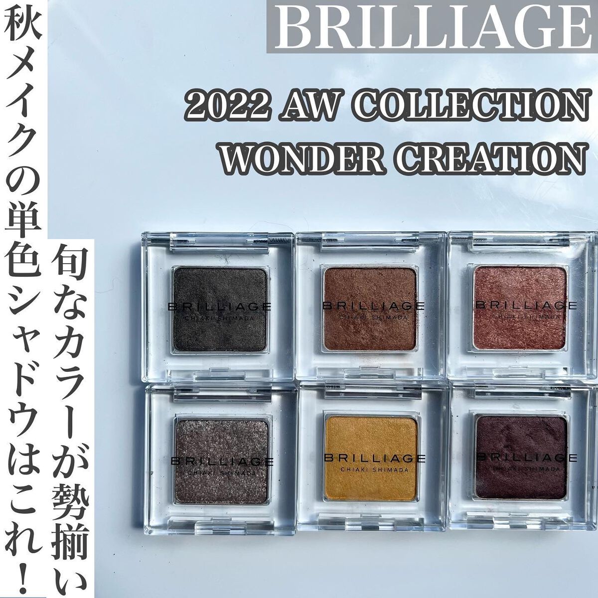 ワンダークリエイション /ブリリアージュ/単色アイシャドウを使ったクチコミ（1枚目）