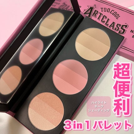 バイロダン アートパレットⅡ/too cool for school/メイクアップキットを使ったクチコミ(1枚目)