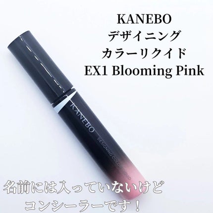 デザイニングカラーリクイド/KANEBO/リキッドコンシーラーを使ったクチコミ(2枚目)