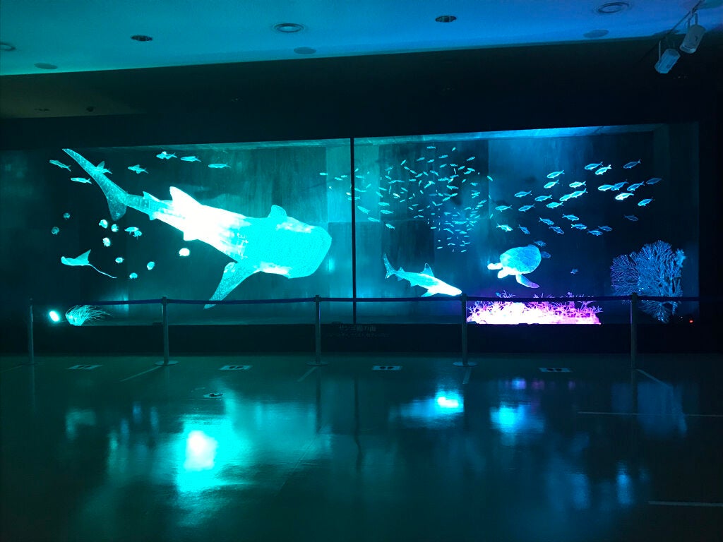 クリア マスカラR/CEZANNE/マスカラ下地を使ったクチコミ(8枚目)