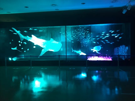 クリア マスカラR/CEZANNE/マスカラ下地を使ったクチコミ(8枚目)