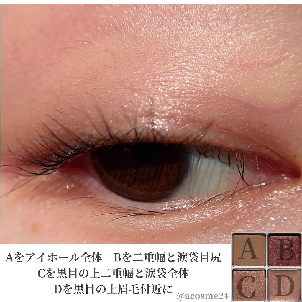 THE アイパレR 103 釘づけのブラウンレッド【旧】/b idol/アイシャドウパレットを使ったクチコミ（3枚目）