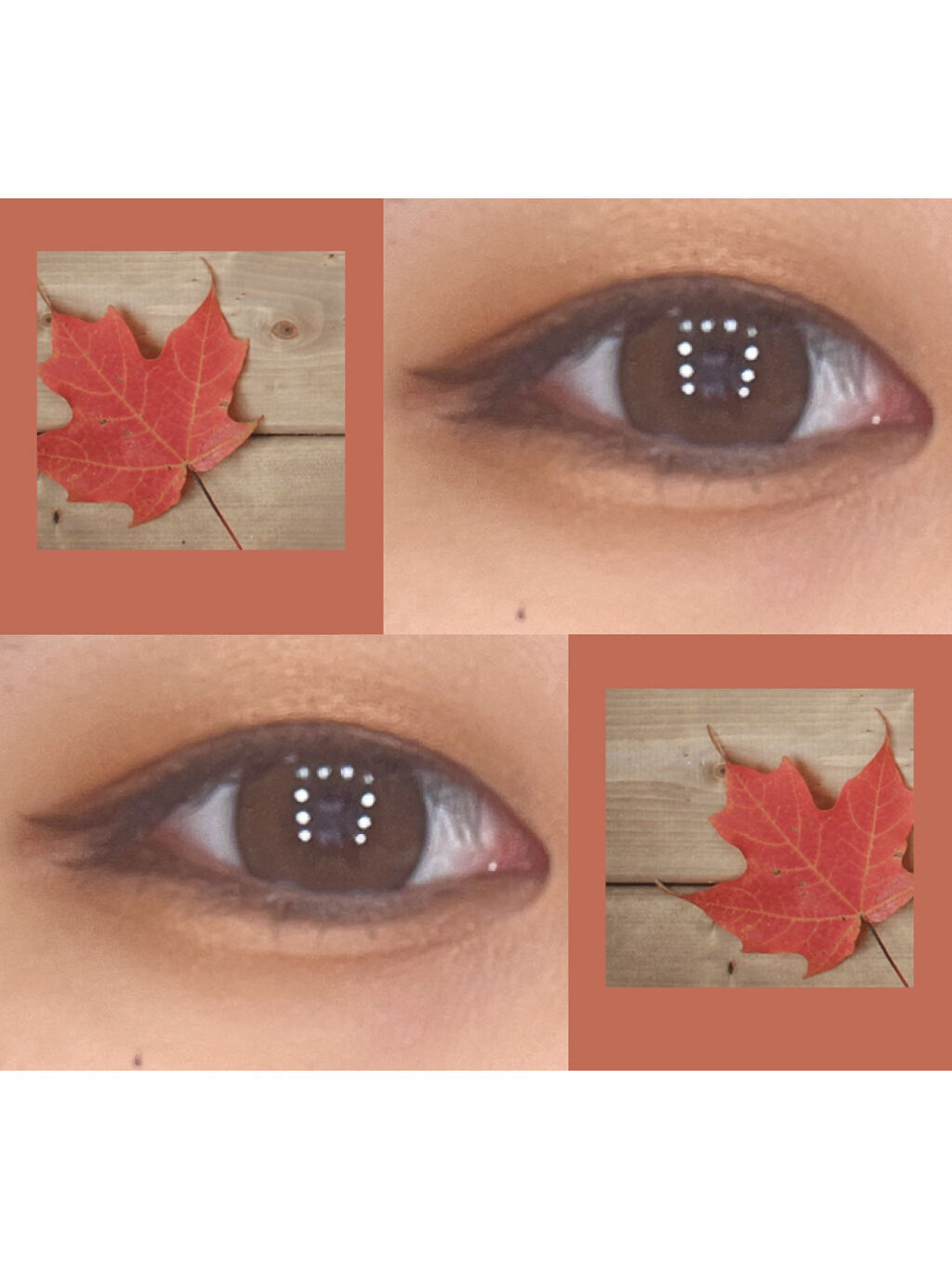 アイシャドウパレット ORBR（オレンジブラウン）/and us/アイシャドウパレットを使ったクチコミ（3枚目）