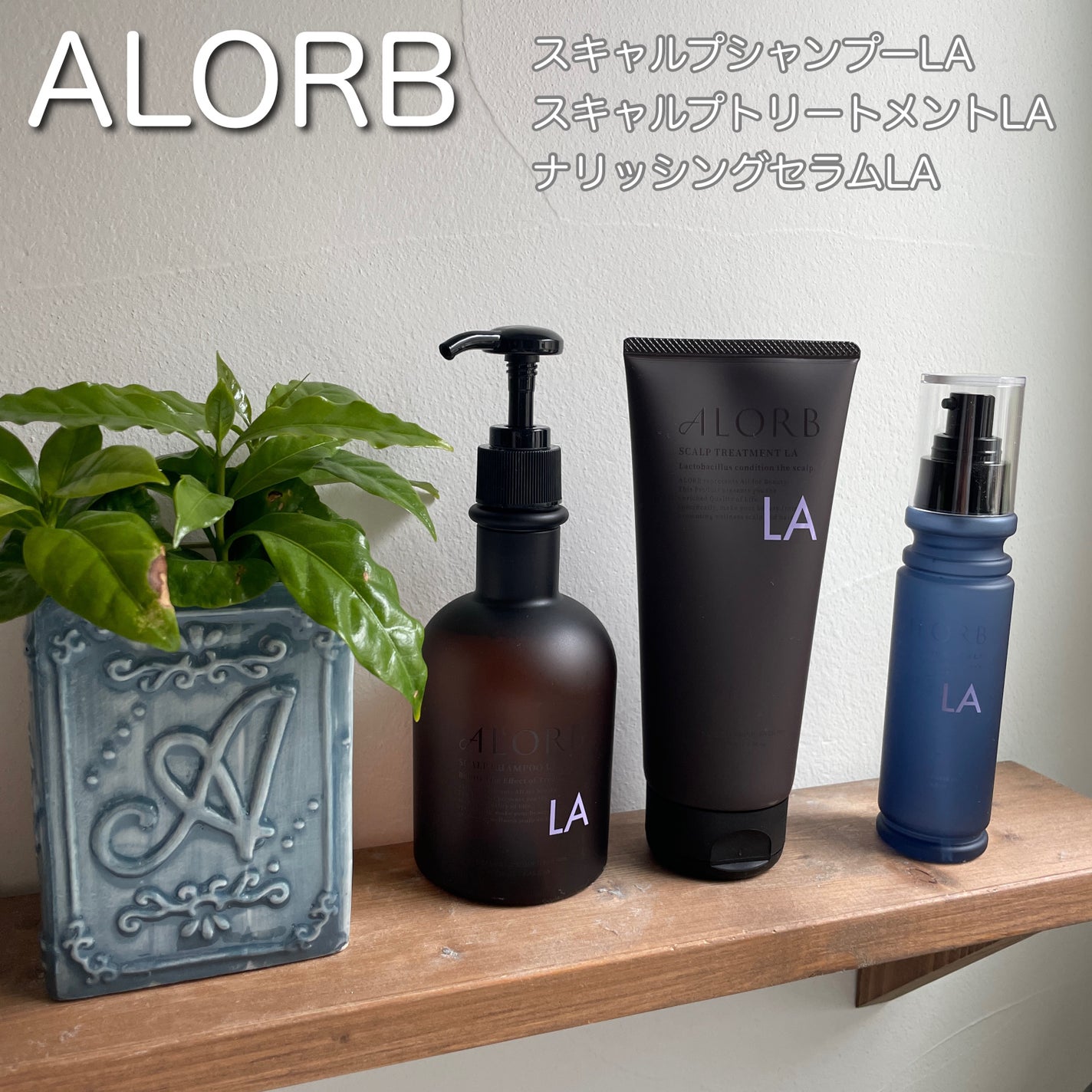 スキャルプシャンプーLA/トリートメントLA/ALORB/サロンシャンプーを使ったクチコミ(1枚目)