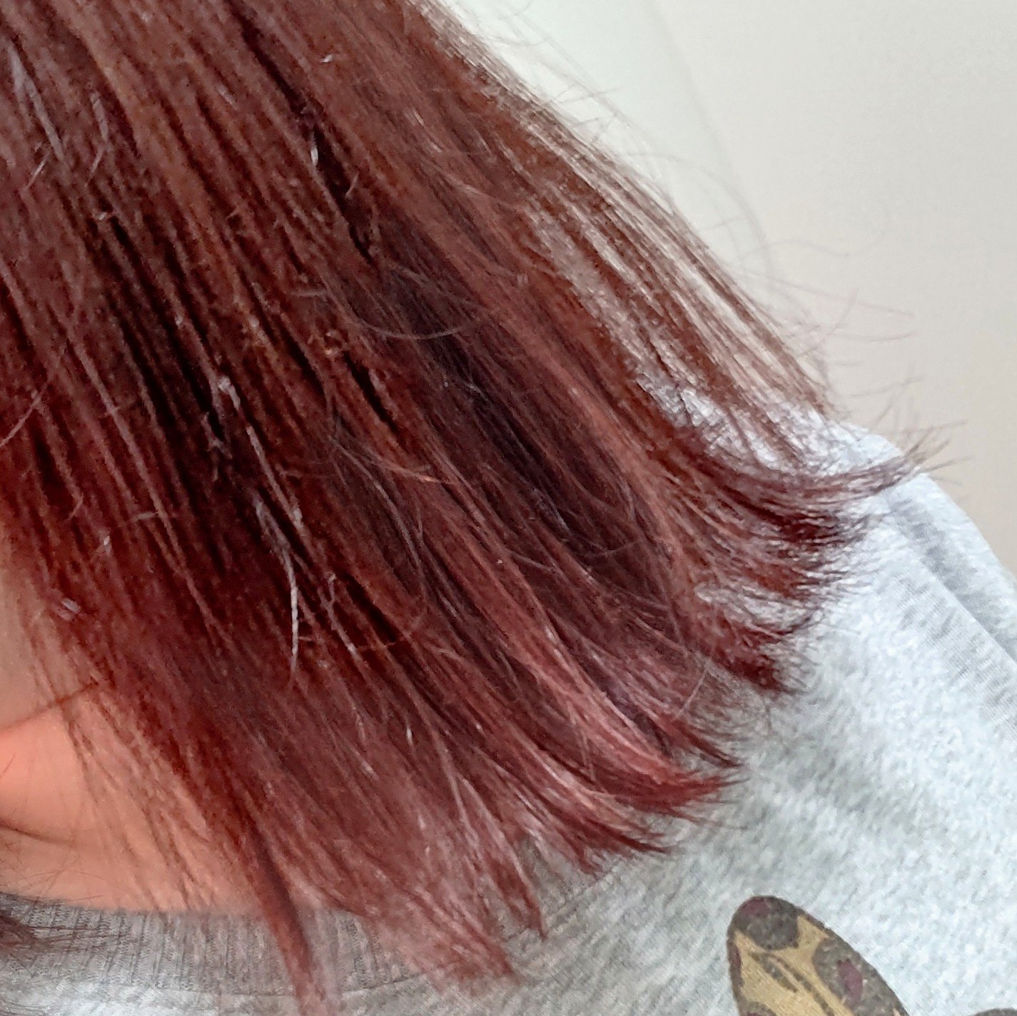 ホイップヘアカラー/ビューティラボ/ヘアカラーを使ったクチコミ（2枚目）