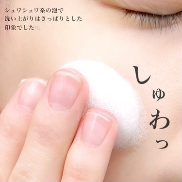 ティーツリーコントロール酵素洗顔パウダー/PAPA RECIPE/洗顔パウダーを使ったクチコミ（6枚目）