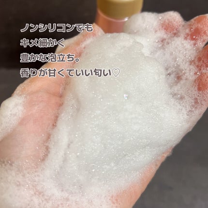 オイルインシャンプー/オイルインコンディショナー (グロス&リペア)/ディアボーテ/市販シャンプーを使ったクチコミ(3枚目)