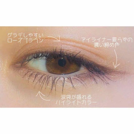 トーンアップアイシャドウ/CEZANNE/アイシャドウパレットを使ったクチコミ(3枚目)