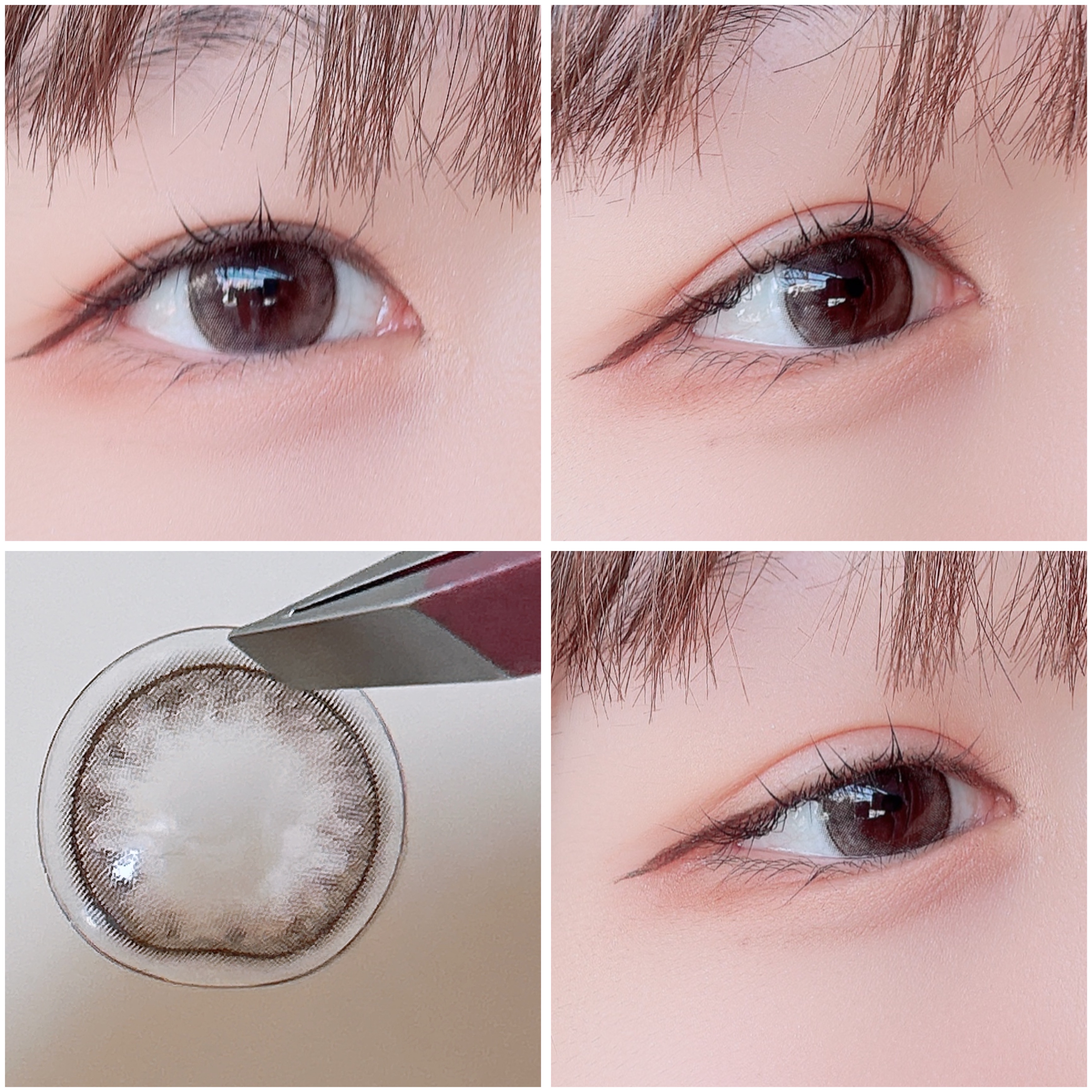 miium 1day シェルラッコ/miium/ワンデー（１DAY）カラコンを使ったクチコミ（2枚目）