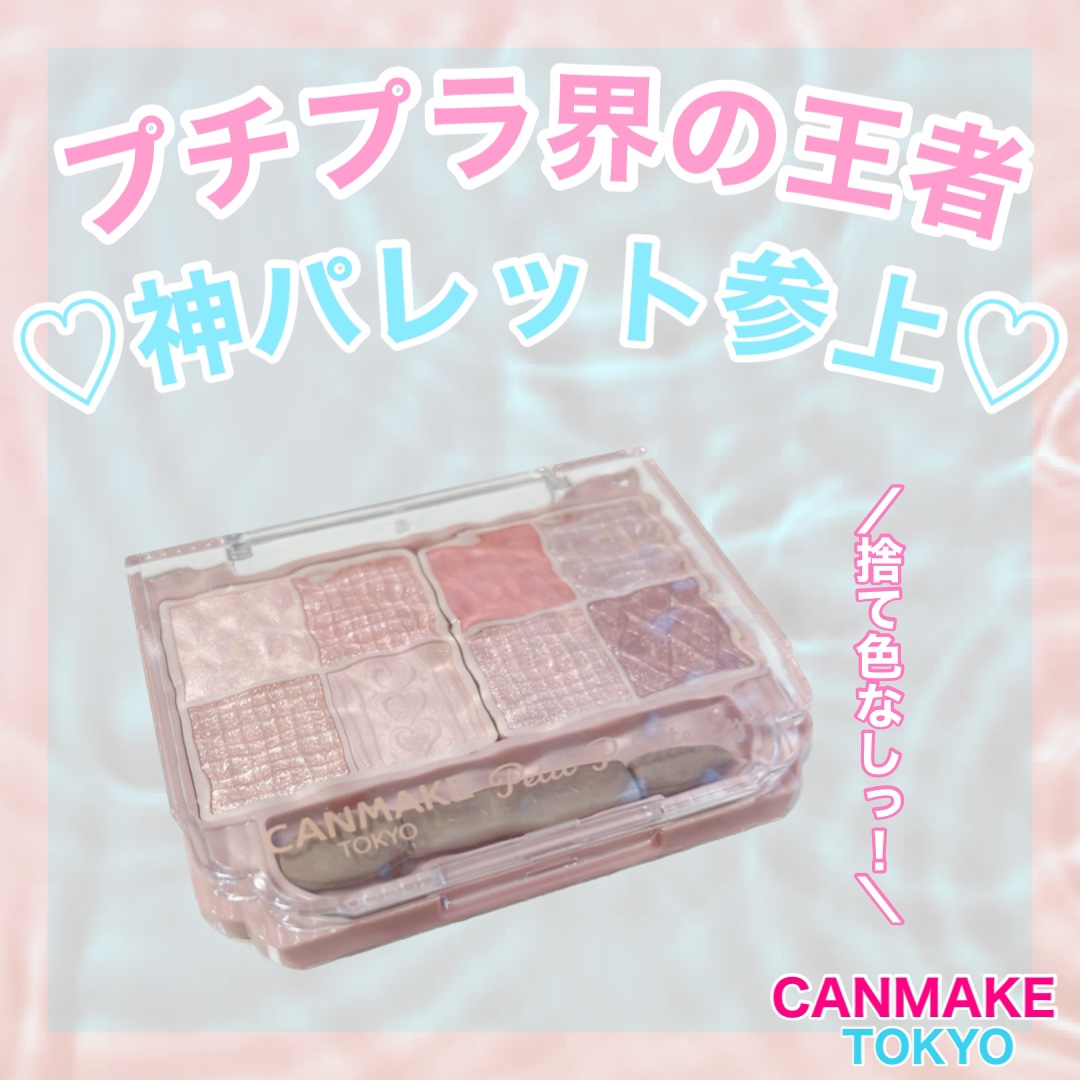 プティパレットアイズ/キャンメイク/パウダーアイシャドウを使ったクチコミ（1枚目）