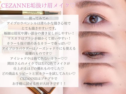 ノーズ&アイブロウパウダー/CEZANNE/パウダーアイブロウを使ったクチコミ(4枚目)
