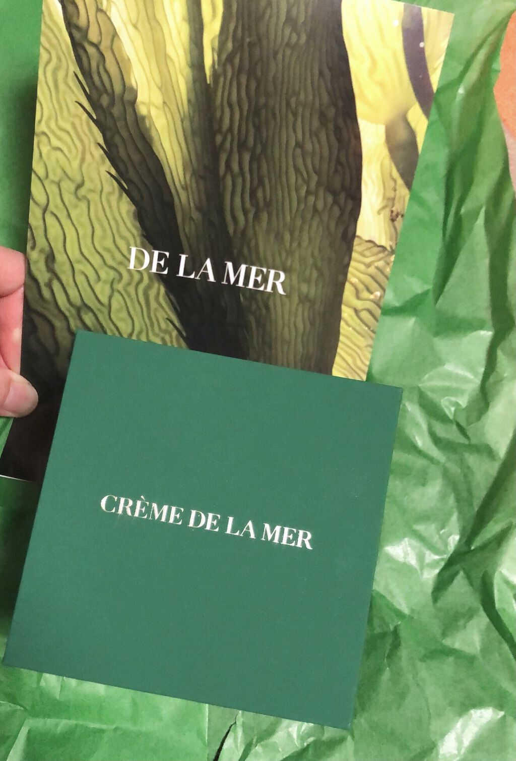 ザ・モイスチャライジング ソフト クリーム/LA MER/フェイスクリームを使ったクチコミ（1枚目）