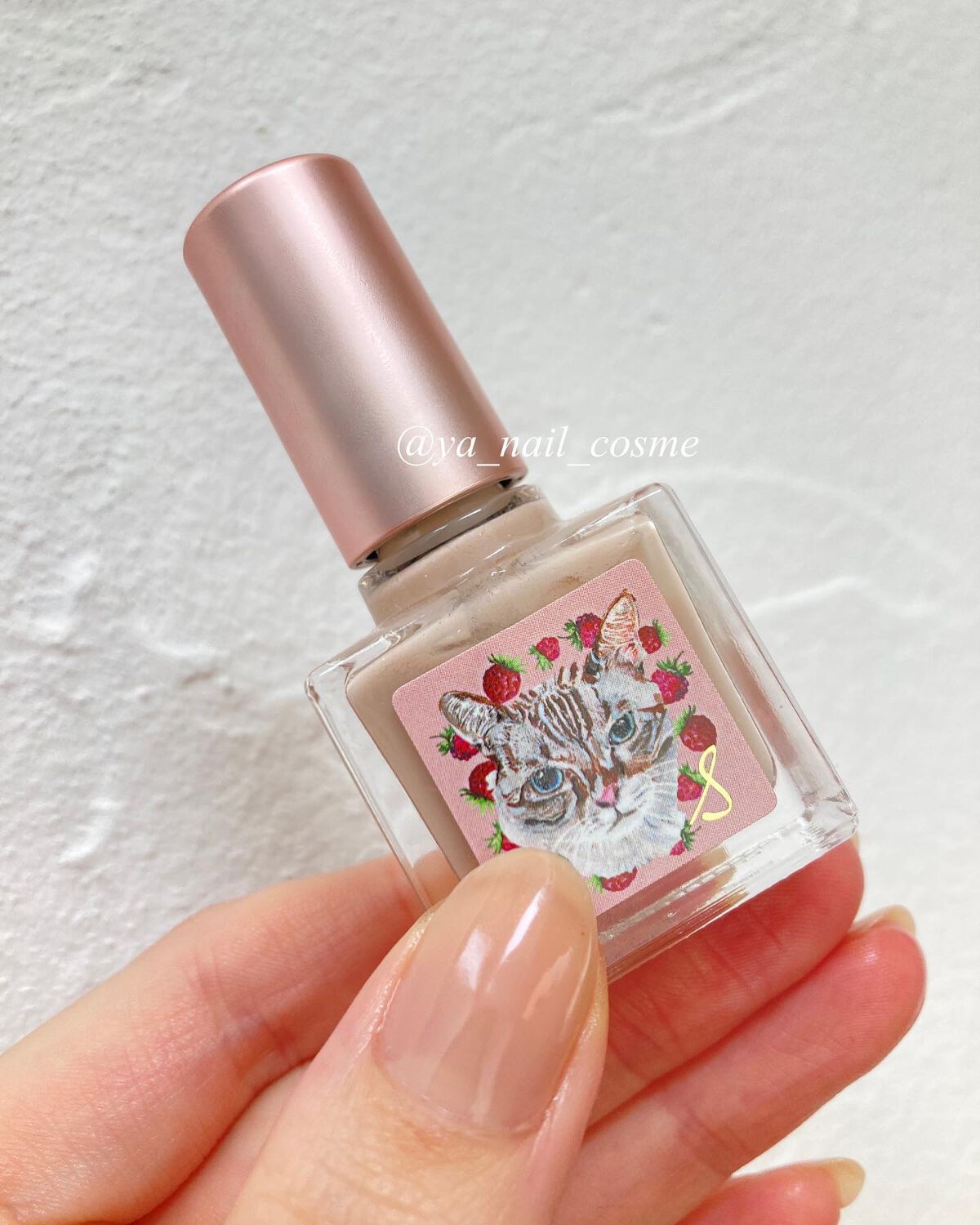 ネイルエス/ nail S(ネイルエス) /マニキュアを使ったクチコミ(1枚目)