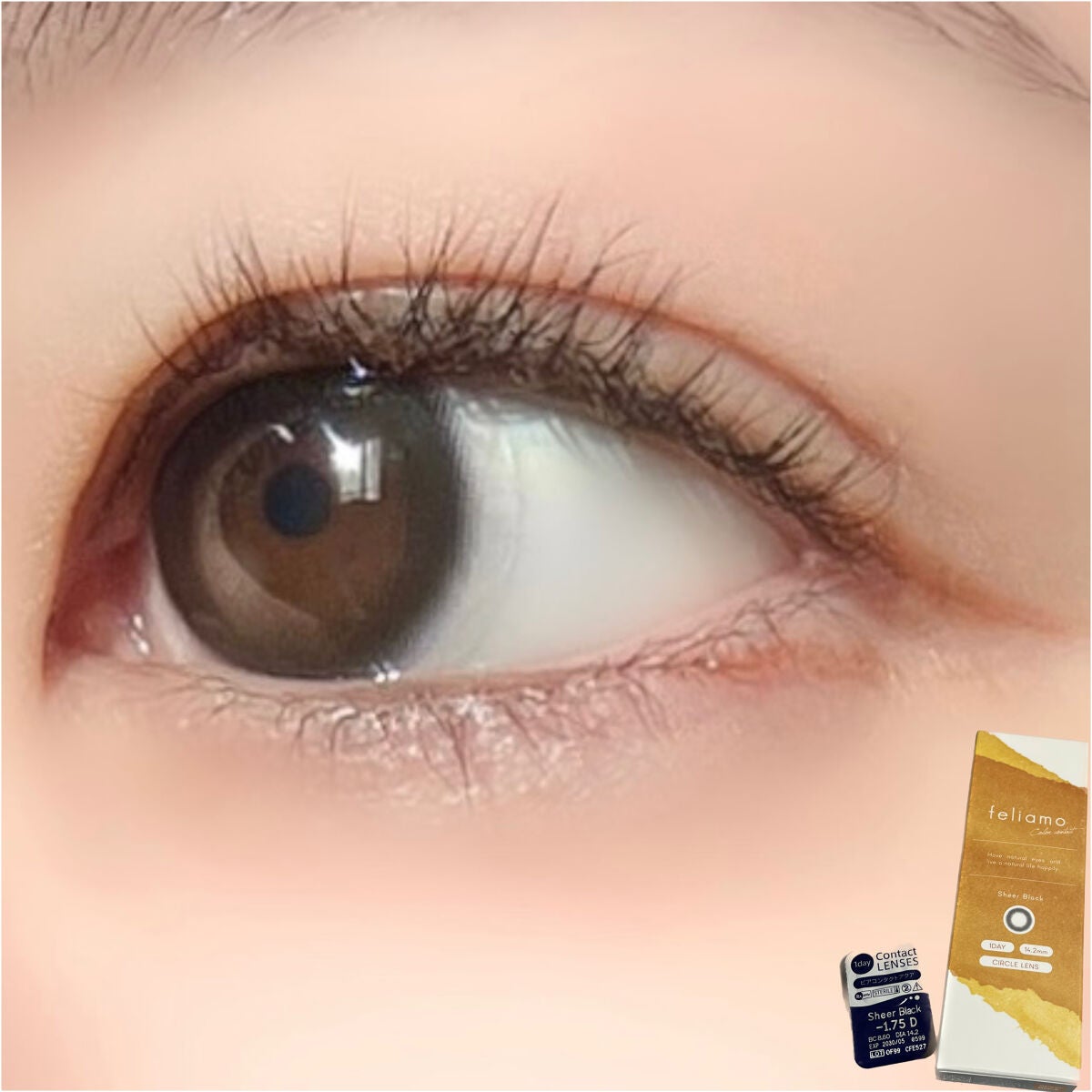feliamo 1day/feliamo/ワンデー(1DAY)カラコンを使ったクチコミ(9枚目)
