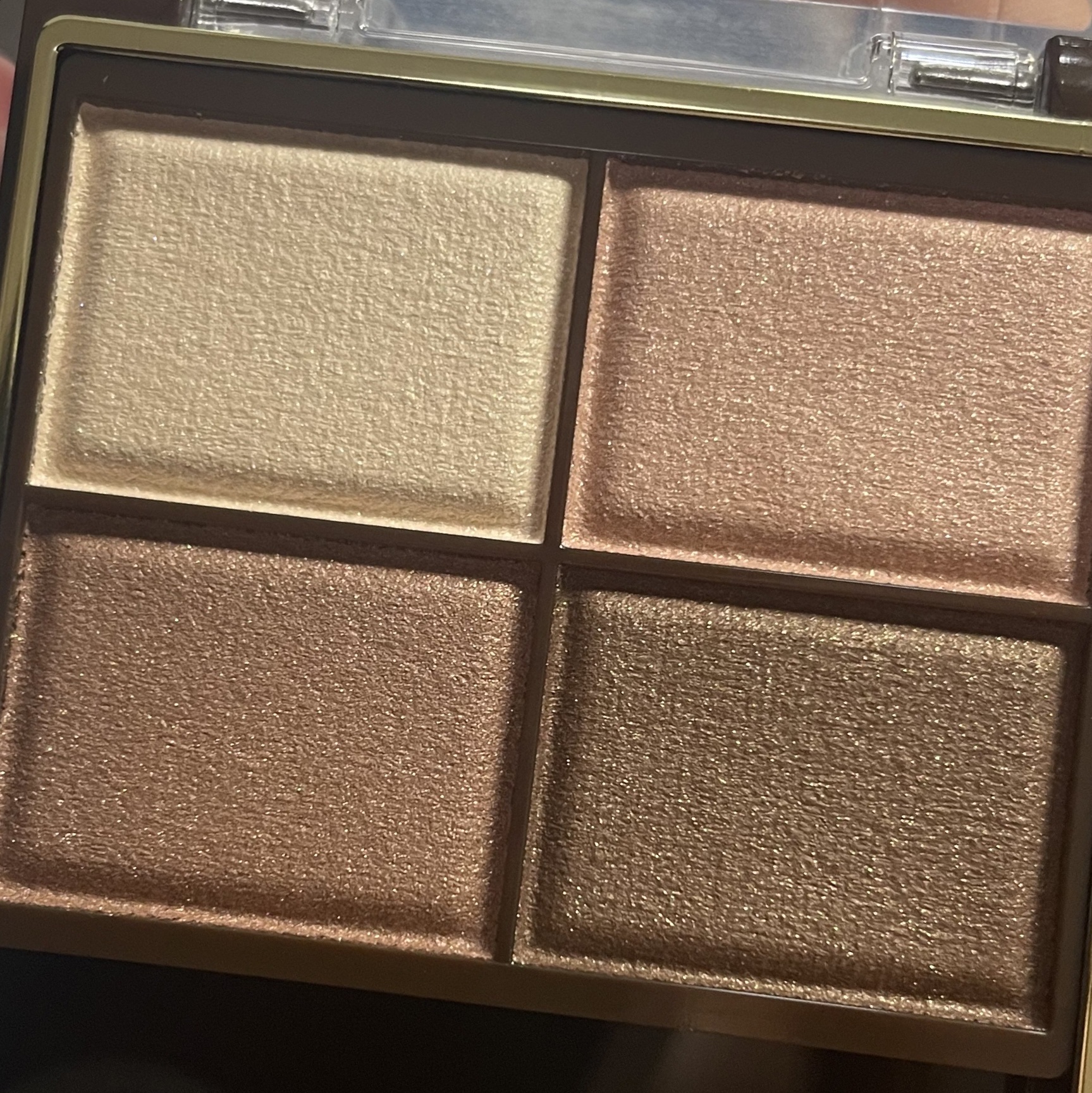 スキニーリッチシャドウ/excel/アイシャドウパレットを使ったクチコミ（2枚目）