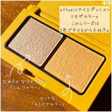 エテュセ アイエディション(カラーパレット)/ettusais/アイシャドウパレットを使ったクチコミ(4枚目)
