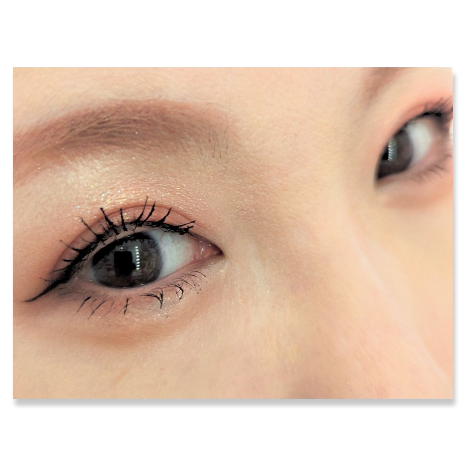 ベターザンパレット 01 パンパスガーデン(PAMPAS GARDEN)/rom&nd/アイシャドウパレットを使ったクチコミ（2枚目）