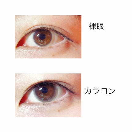 を使ったクチコミ(2枚目)