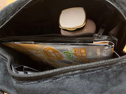 かわにしみきプロデュース ズボラでも収納できる!BIGマルチポーチBOOK/宝島社/雑誌を使ったクチコミ(8枚目)