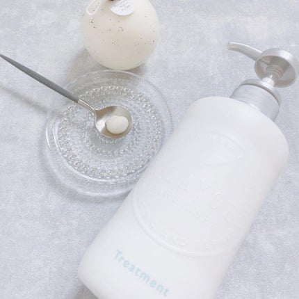 シャンプー/トリートメント SN さらさら/CLAYGE/シャンプー・コンディショナーを使ったクチコミ(6枚目)