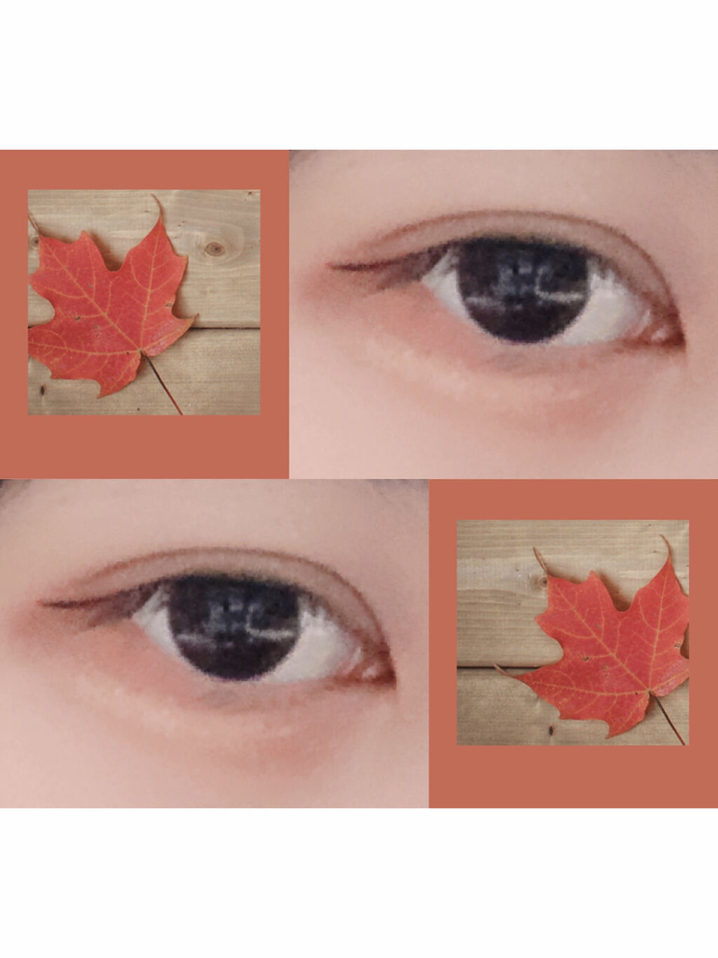 シングルカラーアイシャドウ/CEZANNE/単色アイシャドウを使ったクチコミ（2枚目）